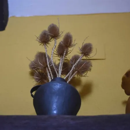 Casa rural De Estilo Rustico Con *
